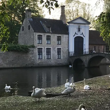 The Bank 1869 - Unique Guestrooms In The Historic Center Of Holiday home Bruges